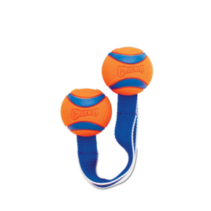 Chuckit! Ultra Duo Tug M