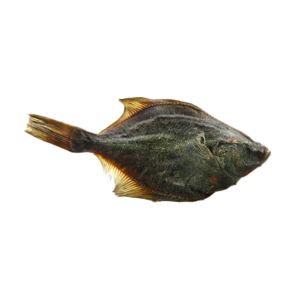 Luna Snack - Lepényhal