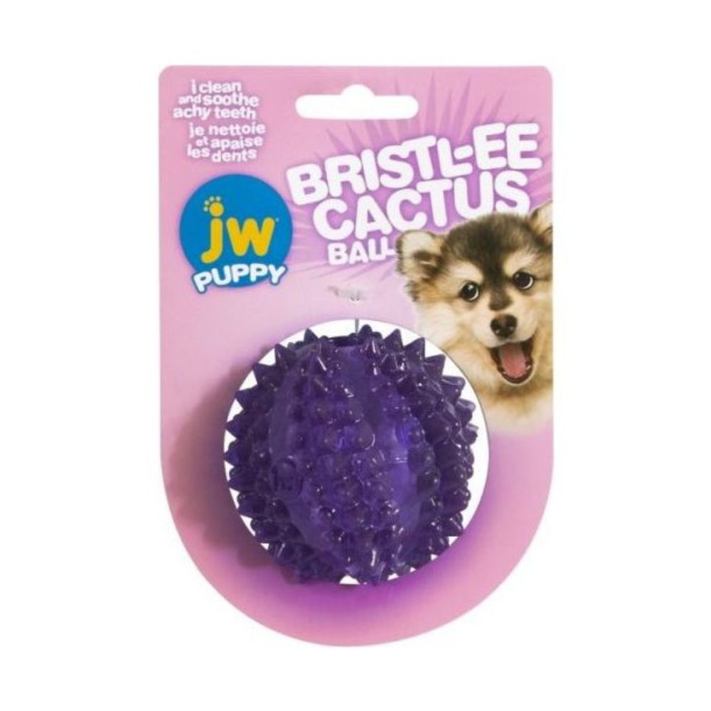 JW Puppy Bristly Kaktusz Labda