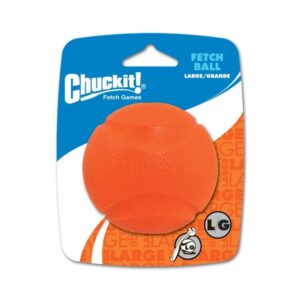 Chuckit! Fetch Ball L